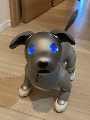 aibo.jpeg