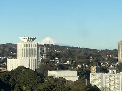 fuji.jpeg